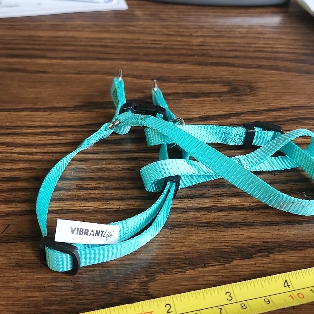 Cat Harness
